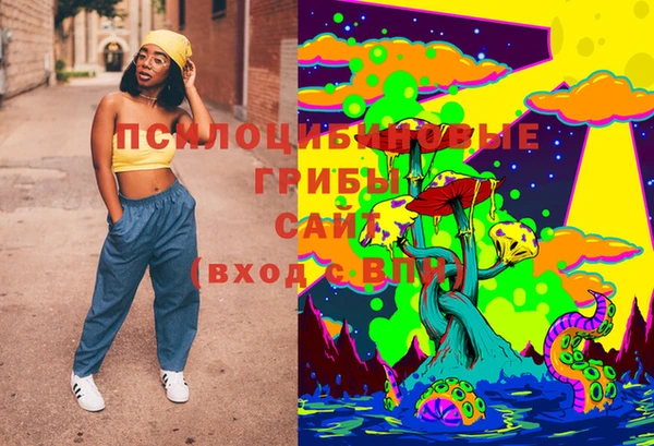 дмт Балахна